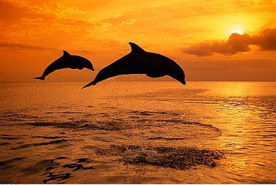 Square Enix公开2022年东京电玩展展出游戏阵容