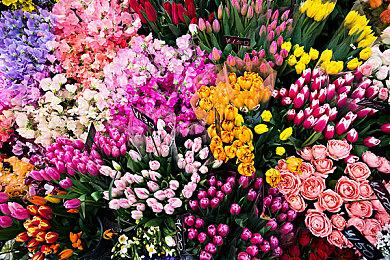 《高级战争1+2 RE-BOOT CAMP》跳票 新日期未公开