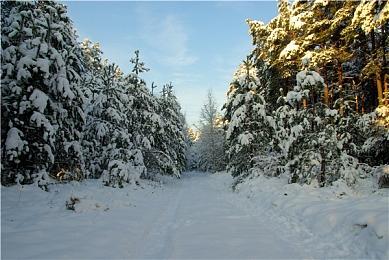 EVO 2024确定回归 2024年7月26日至28日举行