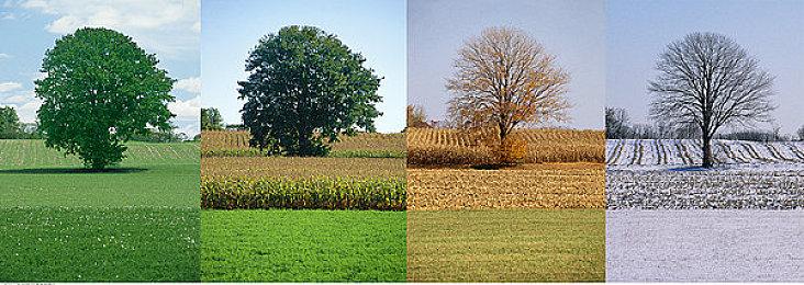 DF发布视频 RTX4080S比索尼PS5快3倍