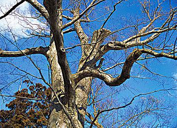 E3 2021：《战地2042》中文版实机预告片